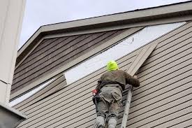 Best Vinyl Siding Installation  in Amelia, LA